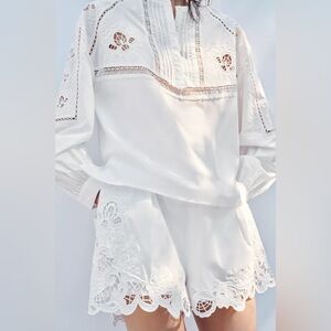 Zara embroidered shorts with darts